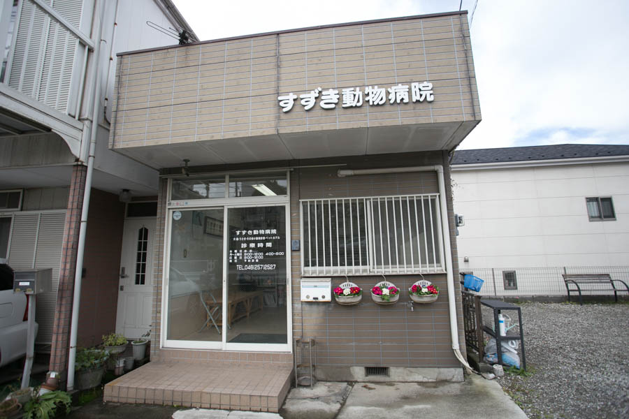すずき動物病院_13
