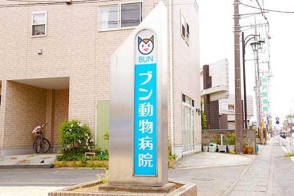 ブン動物病院_7