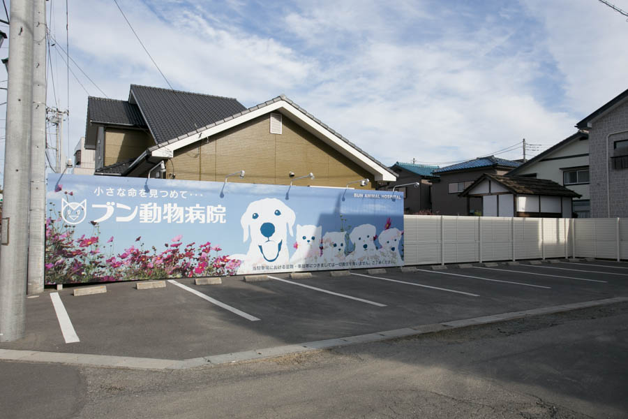 ブン動物病院_10