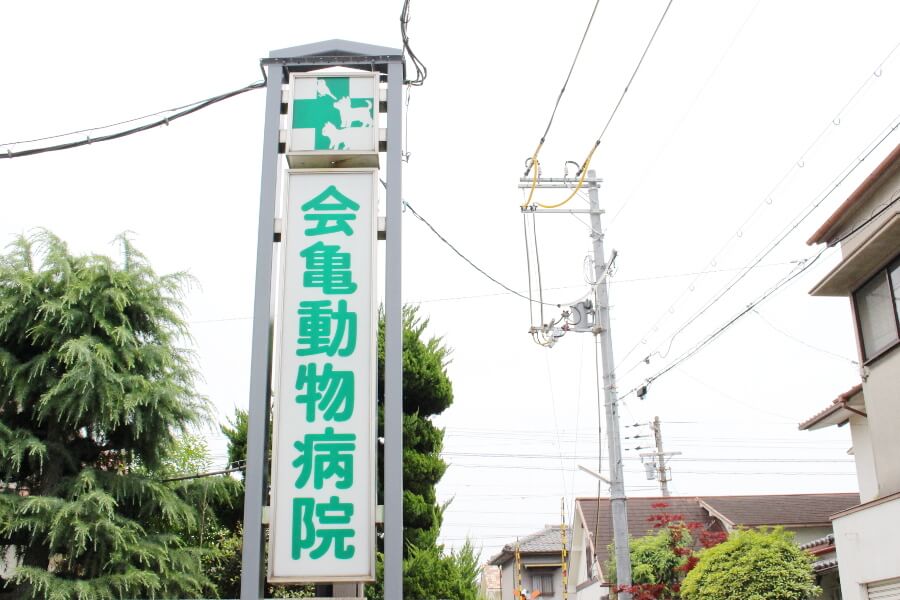 会亀動物病院_8
