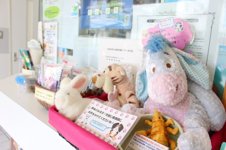 会亀動物病院_13