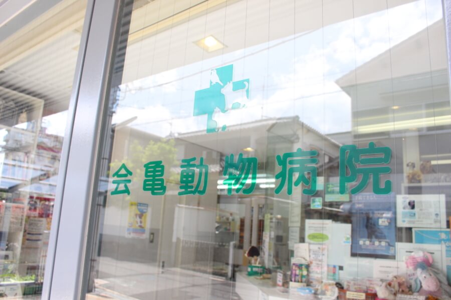 会亀動物病院_20