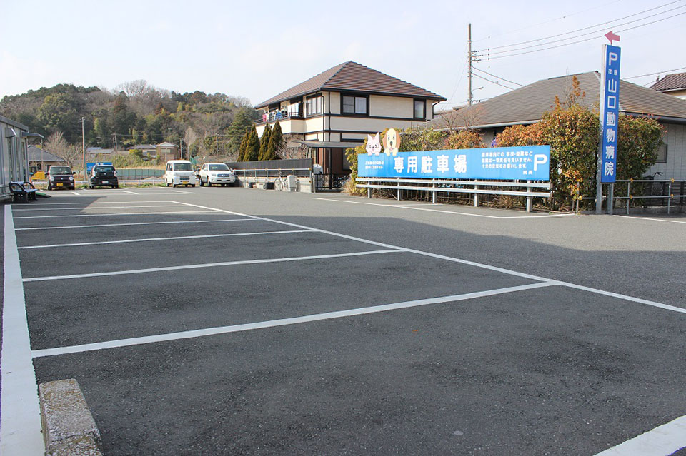 市原山口動物病院_3