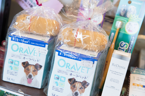 カレン動物病院_11