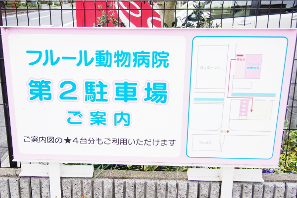フルール動物病院 滋賀どうぶつ循環器センター_7