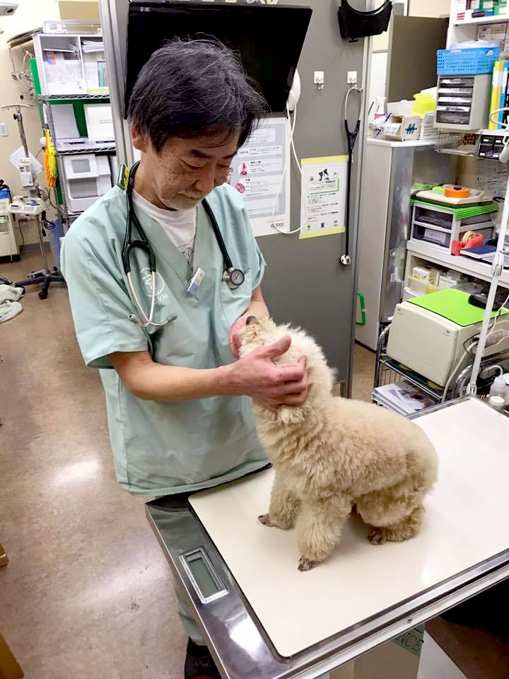 もとい動物病院_8