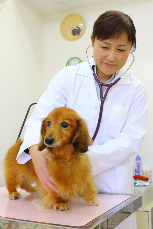 関根 秀子/院長