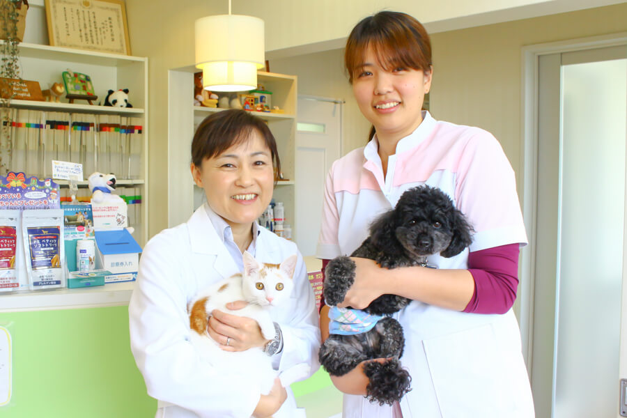 モナ動物病院_6