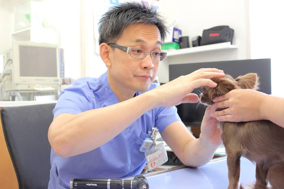 小島　秀也 / 院長