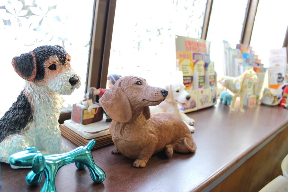 千城台動物病院_17