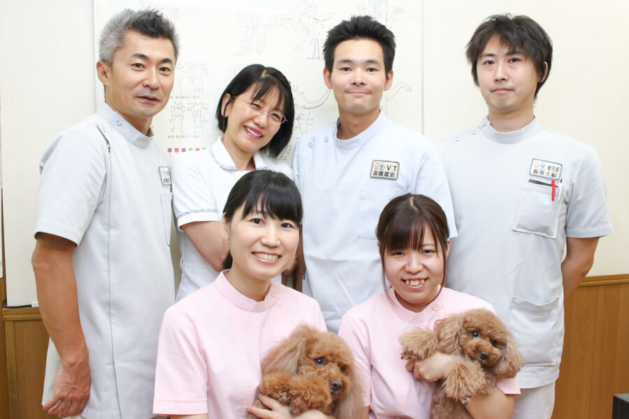 千城台動物病院_20