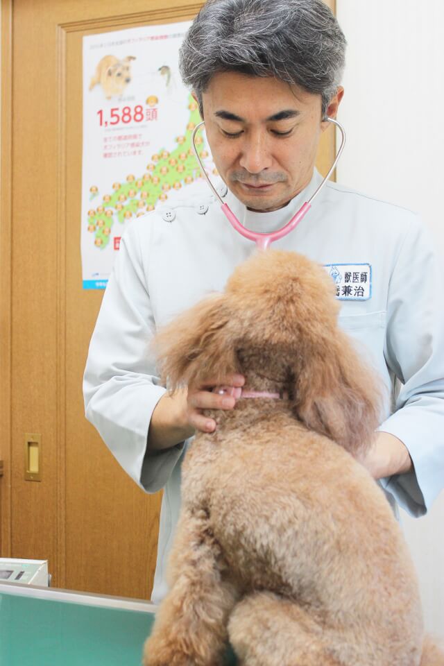 千城台動物病院_25