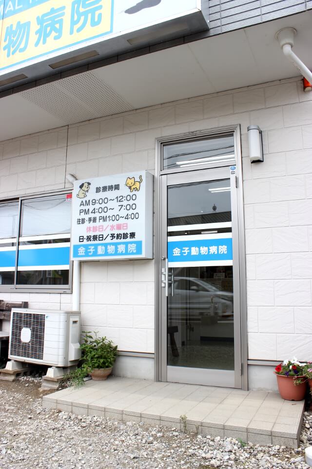 金子動物病院_6