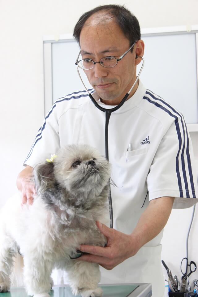 金子　研二 / 院長