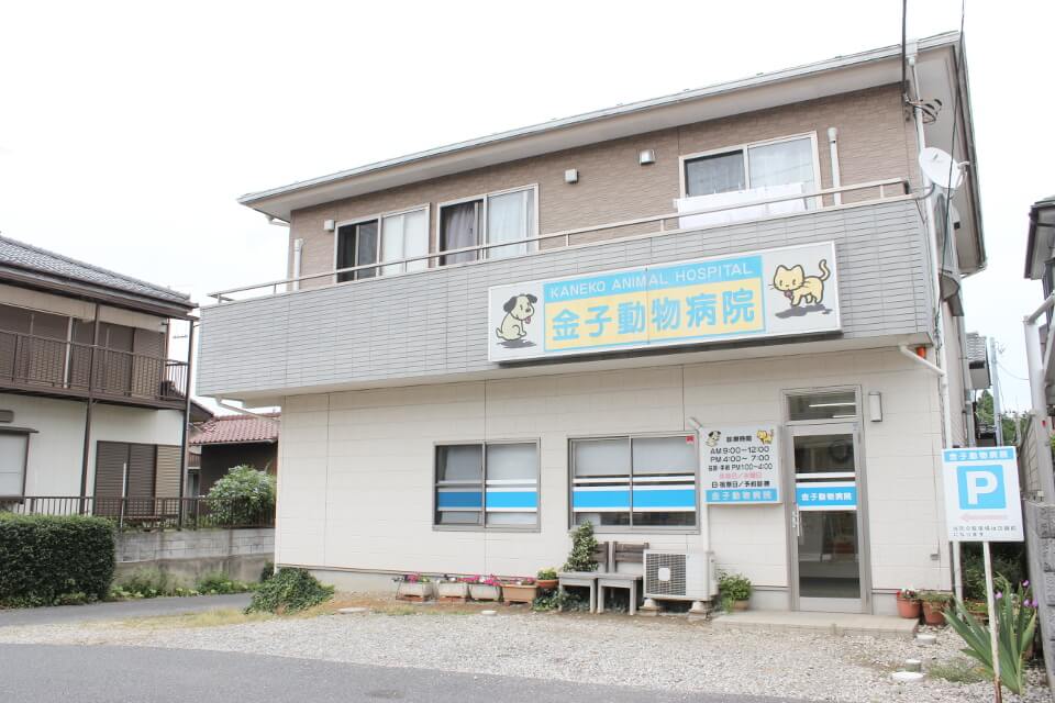 金子動物病院_14