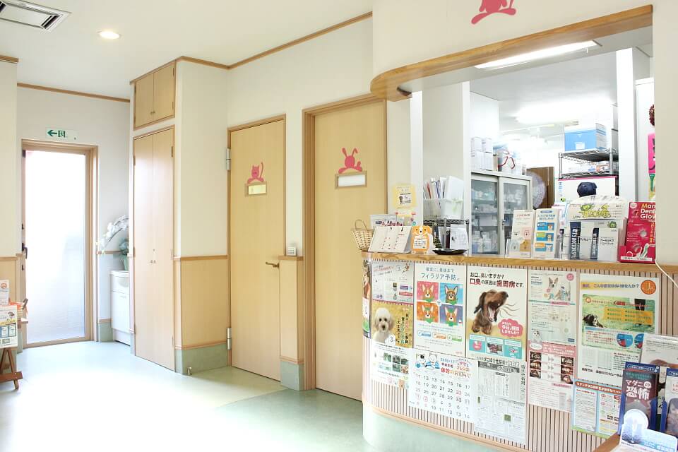 森田動物医療センター_こだわり_3