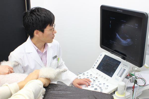 さがみ総合どうぶつ医療センター_10