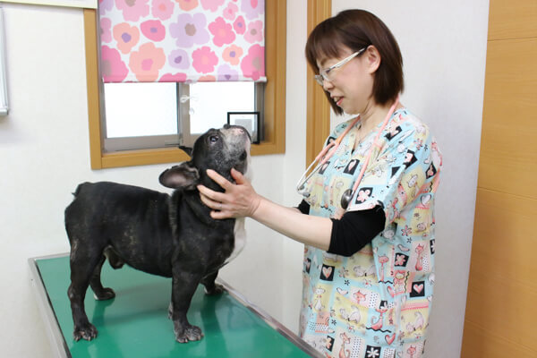 ちよだ動物病院_こだわり_3
