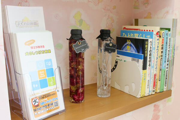 ちよだ動物病院_1