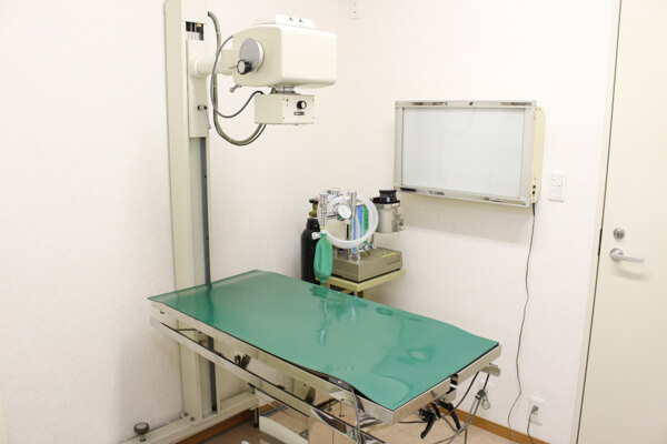 ちよだ動物病院_5