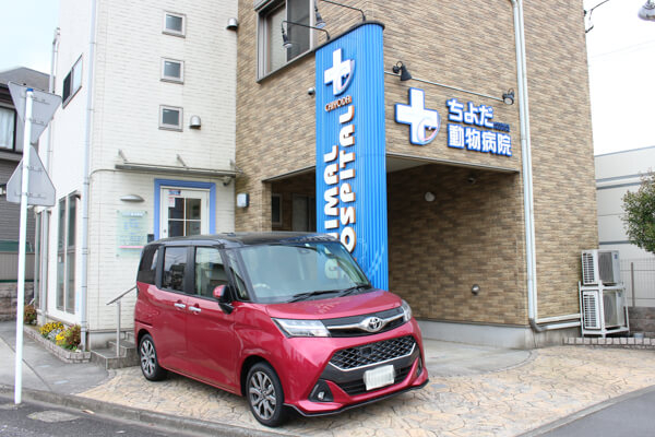 ちよだ動物病院_6