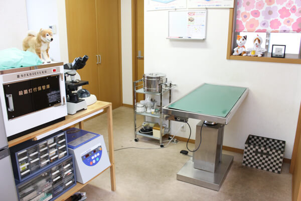 ちよだ動物病院_7