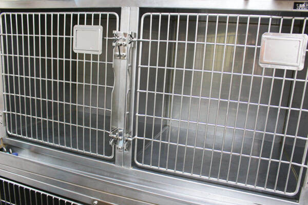 ちよだ動物病院_14