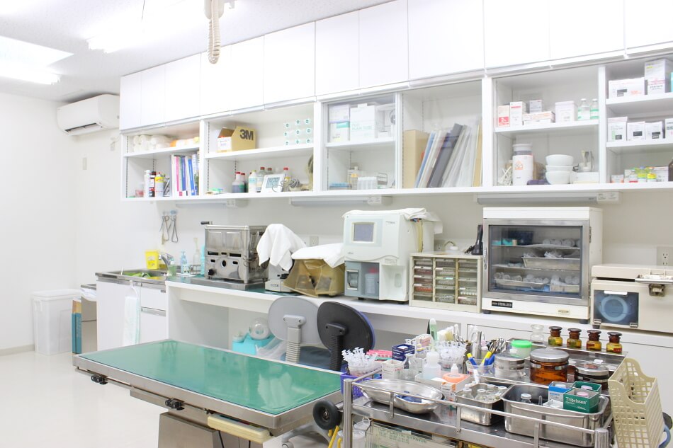 橋本動物病院_6