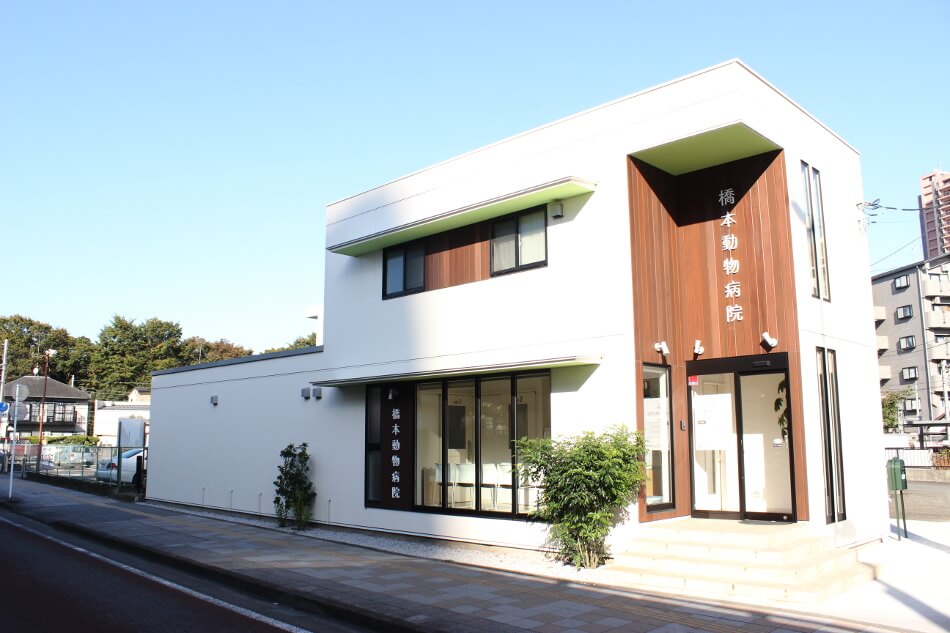 橋本動物病院