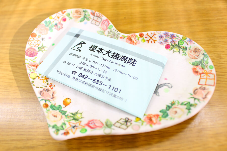 榎本犬猫病院_9
