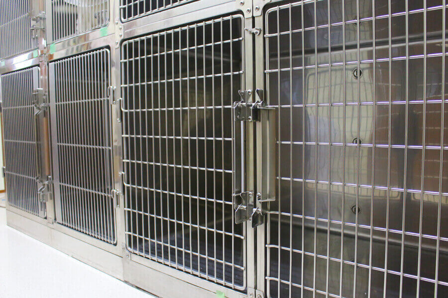 榎本犬猫病院_15
