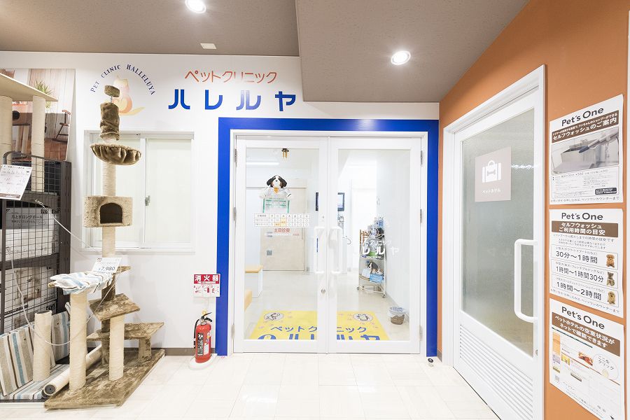 ペットクリニックハレルヤ 新宮病院_こだわり_1