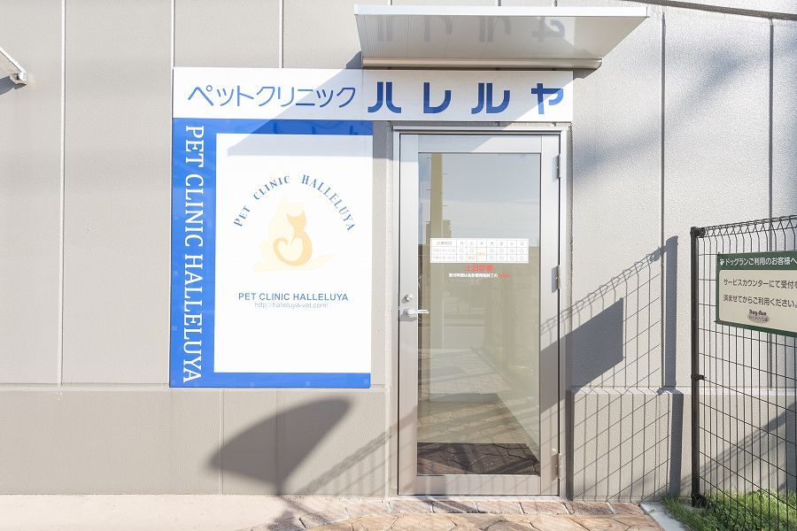 ペットクリニックハレルヤ 新宮病院_13