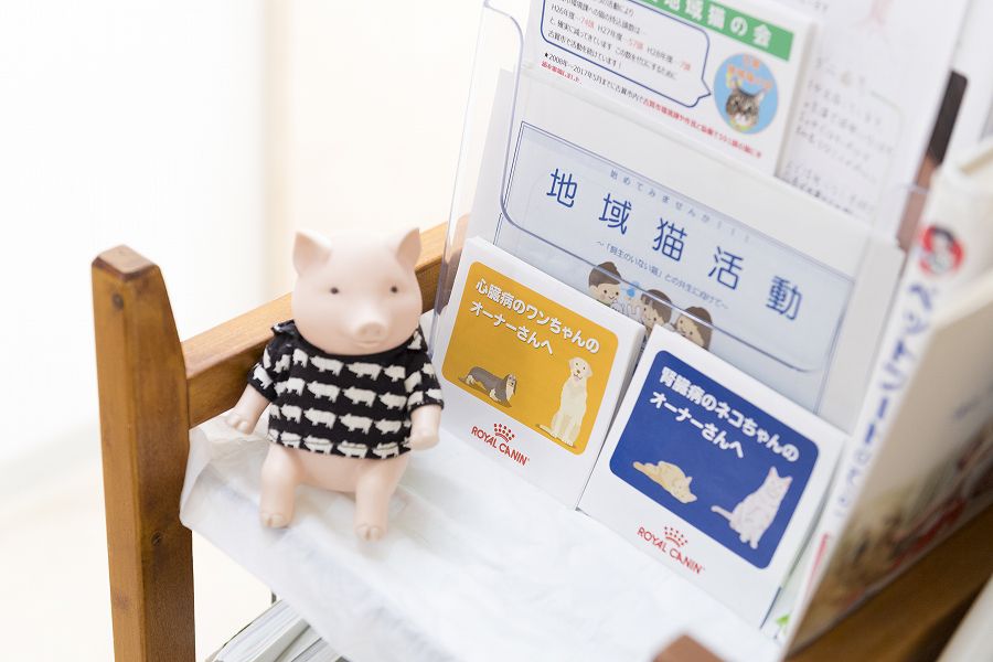 ペットクリニックハレルヤ 新宮病院_14
