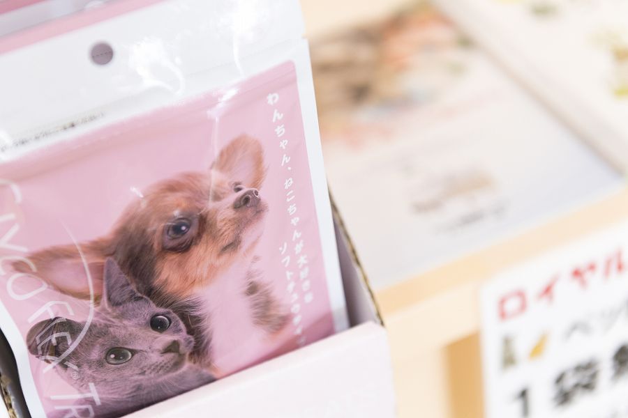 ペットクリニックハレルヤ 新宮病院_17