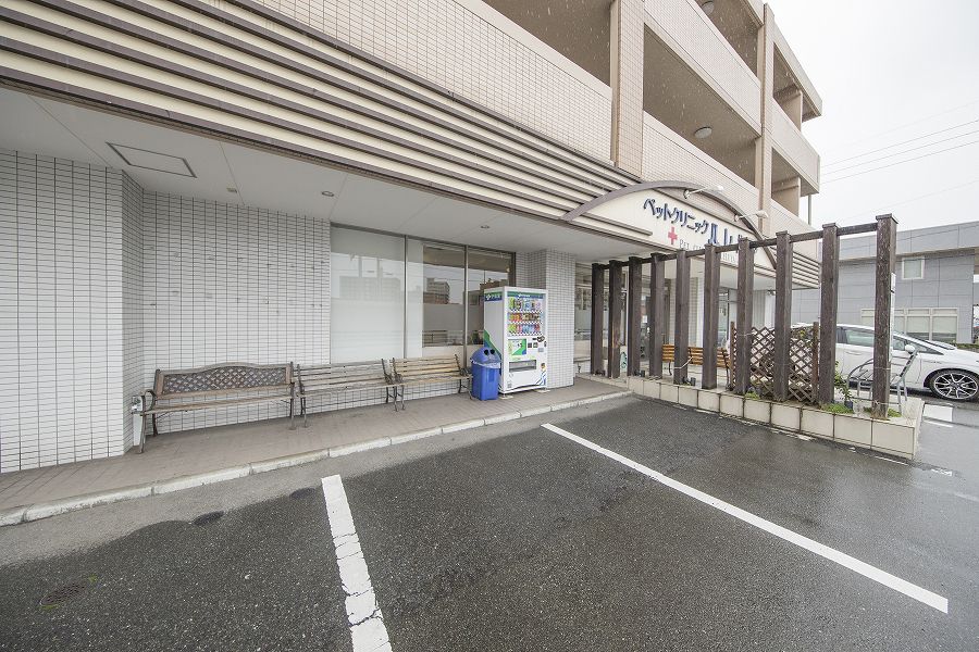 ペットクリニックハレルヤ 粕屋病院_8