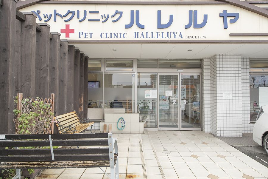 ペットクリニックハレルヤ 粕屋病院