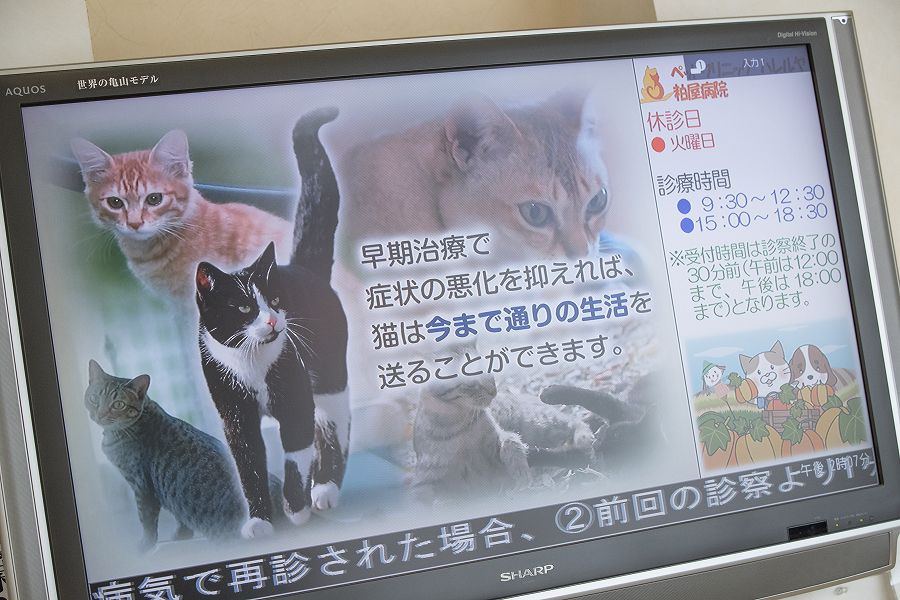 ペットクリニックハレルヤ 粕屋病院_13