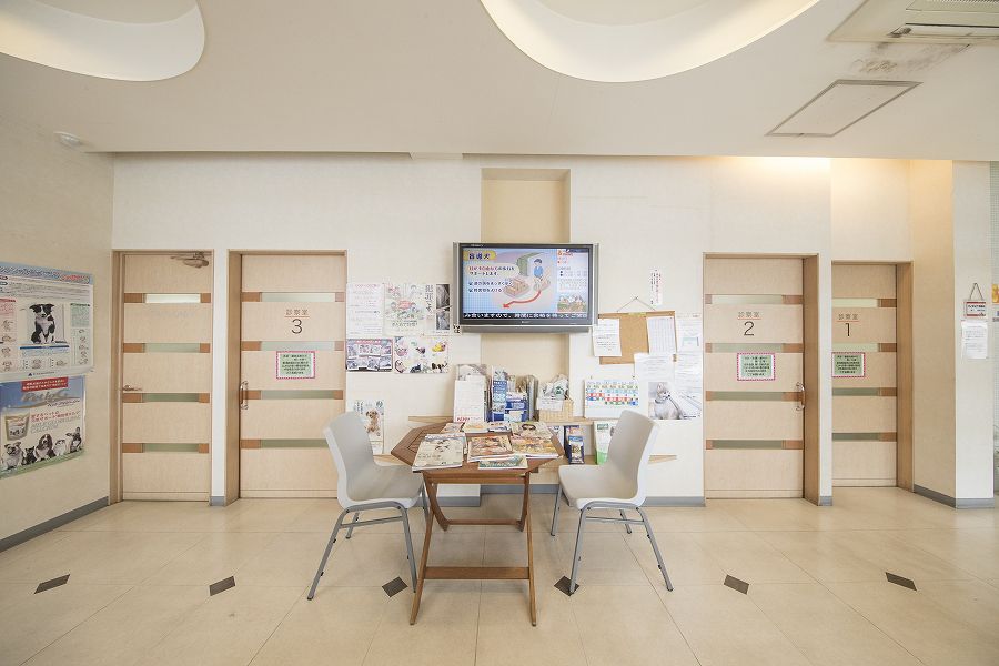 ペットクリニックハレルヤ 粕屋病院_18