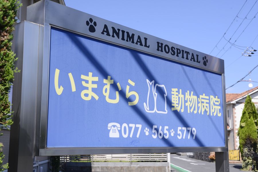 ホリスティックケアいまむら動物病院_5