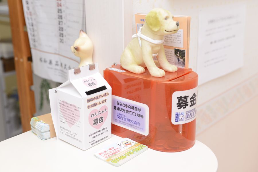 ホリスティックケアいまむら動物病院_7
