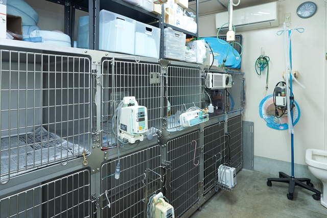 たかやまペットクリニック_8