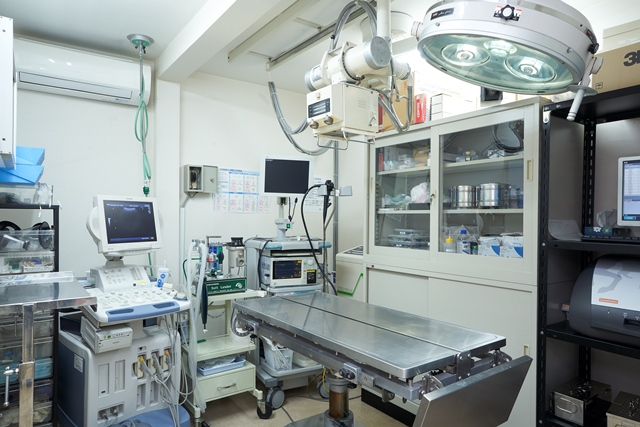 たかやまペットクリニック_12