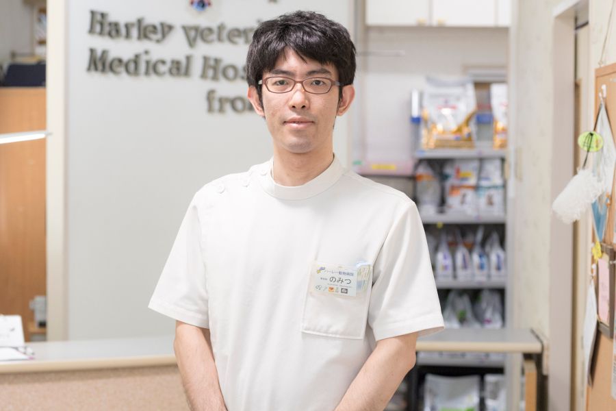主任獣医師/野満大介