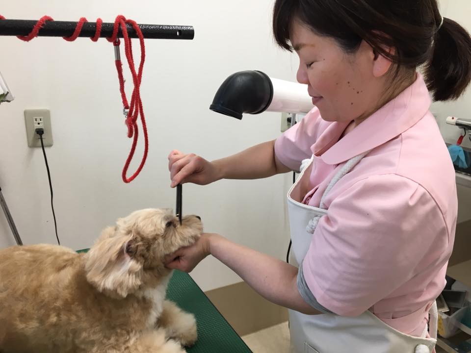 アルバーロ動物病院_7