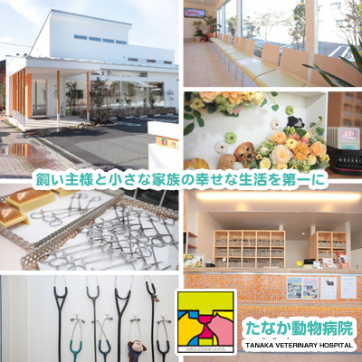 たなか動物病院