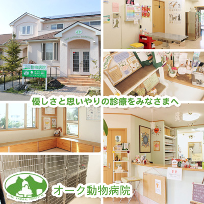 オーク動物病院