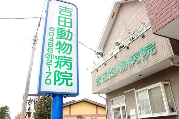 吉田動物病院_7