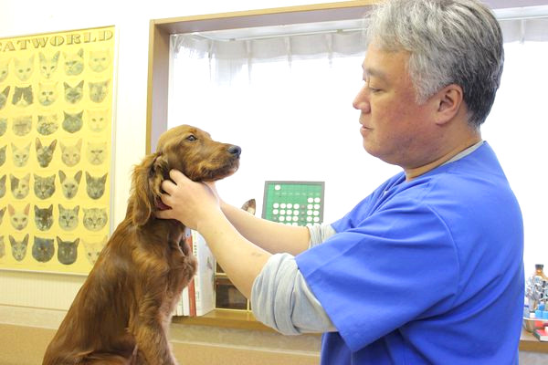 吉田 健太郎 / 院長