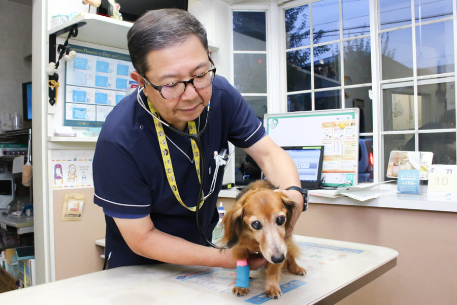 伊藤動物病院_11